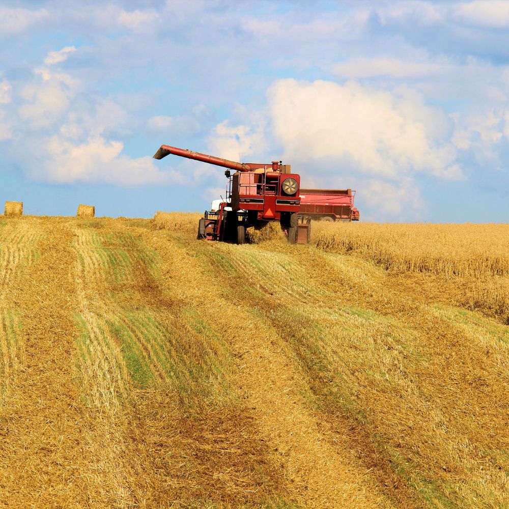 a farm during harvest time