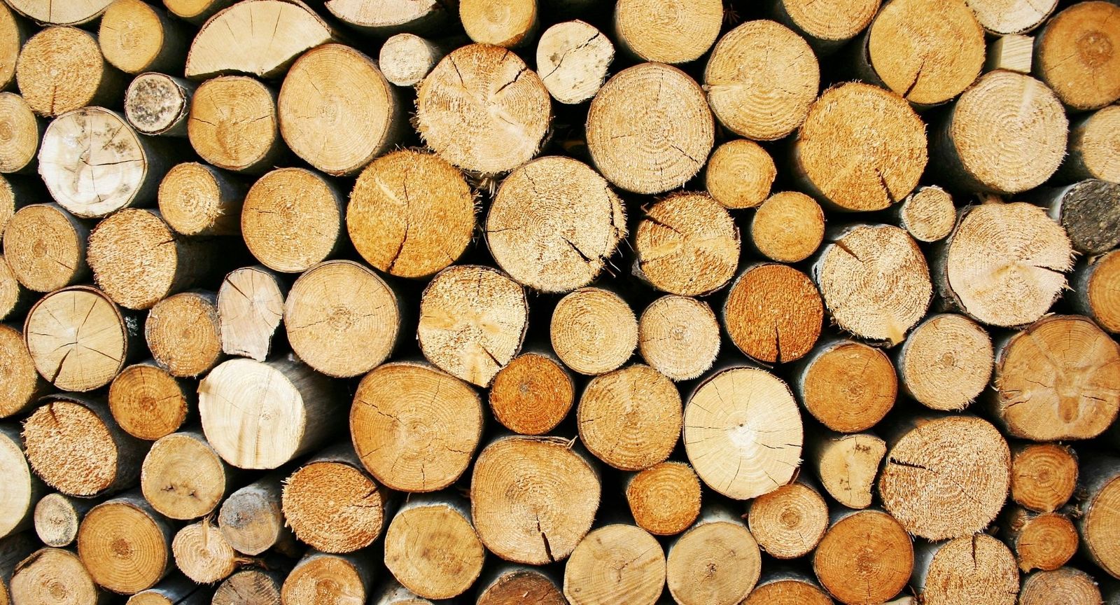 From Forest to Financials: Optimizing Your Lumber Business Accounting for Growth